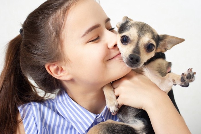 女の子に抱っこされる小型犬