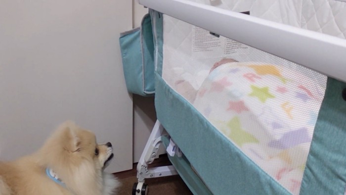 「あれれ？また泣いちゃった」