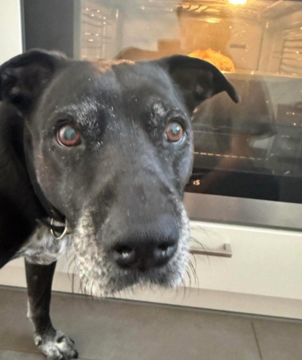 「ママ、大丈夫？」