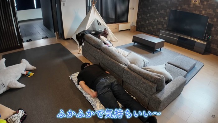 パパさんが寝転がると…