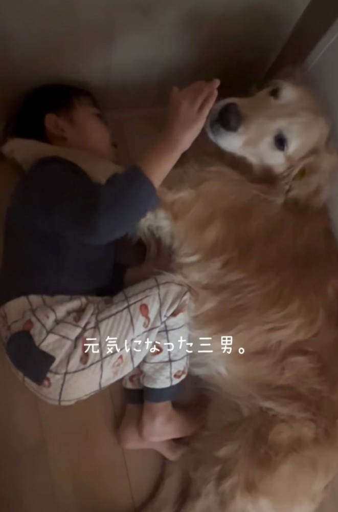 顔を起こす男の子