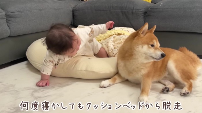 うにくんと遊びたくて…