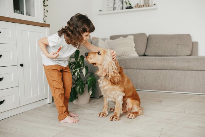 犬を褒める女の子