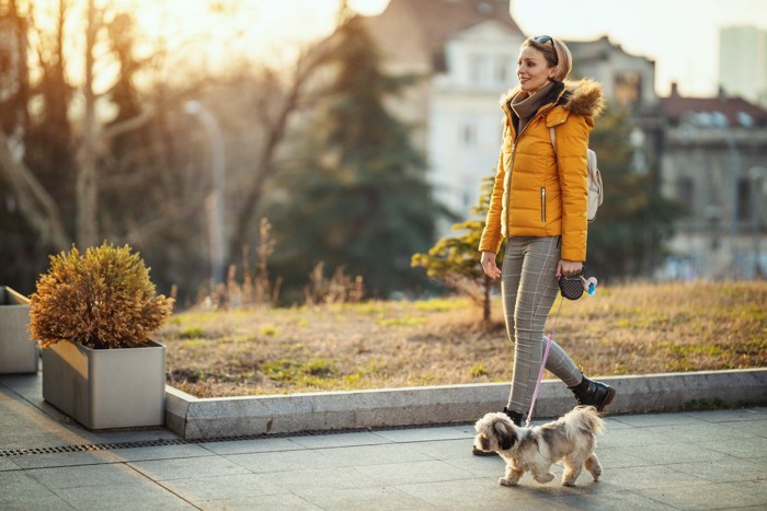 女性と子犬散歩