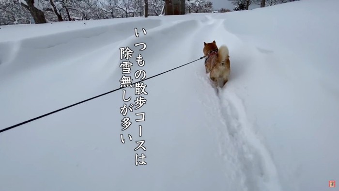 雪遊びが大好き！