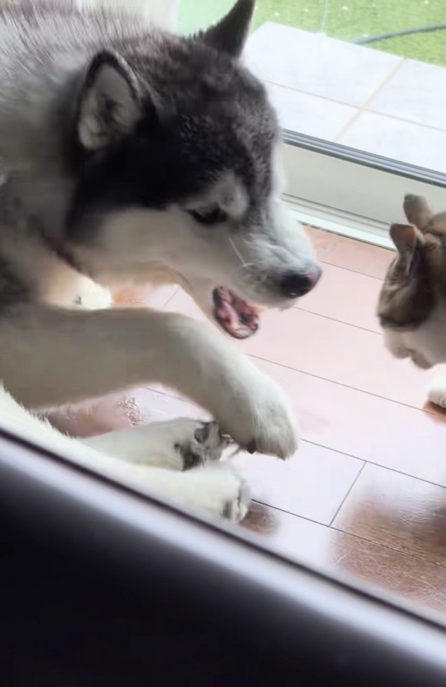 「やめてっ！！」