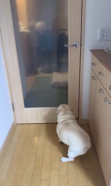 おばあちゃんを見つけたエルモくん6