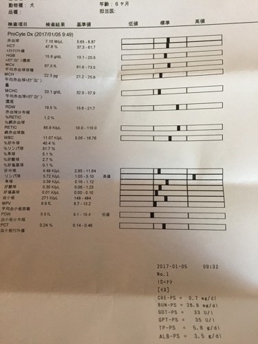 血液検査の結果