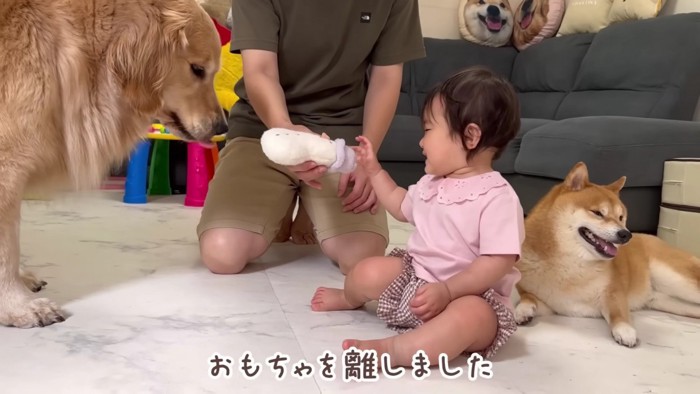 妹に譲ってあげた！