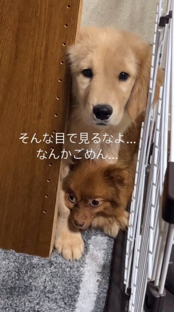 掃除機を操る黒幕の正体に気が付いてしまったようです