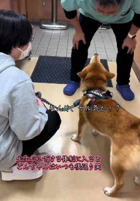 「お前には関係ない！」