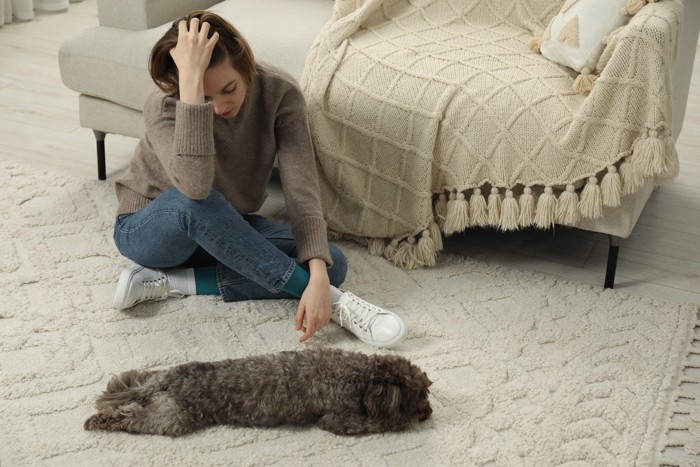 頭を抱える人の目の前に伏せる犬