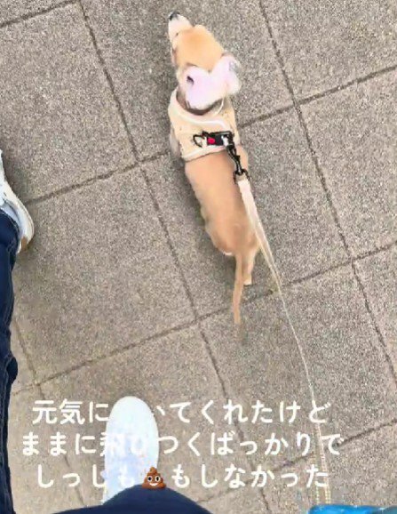 ちょっぴり緊張しちゃった