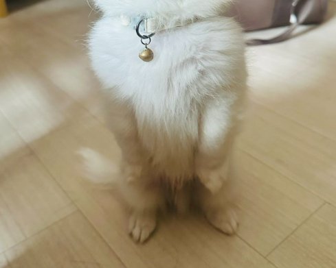 二足歩行