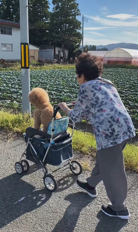 こたちゃん＆くむちゃんと祖父母の思い出6