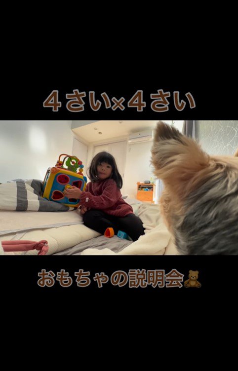 4歳の女の子と虎太郎くん3