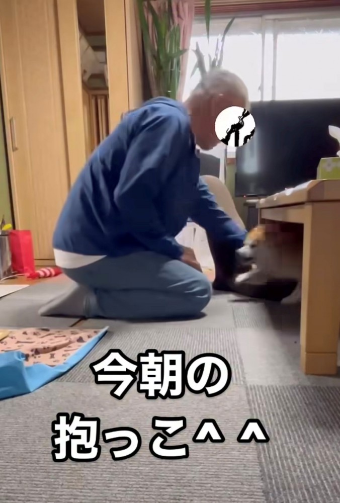 手を差し出す人と犬