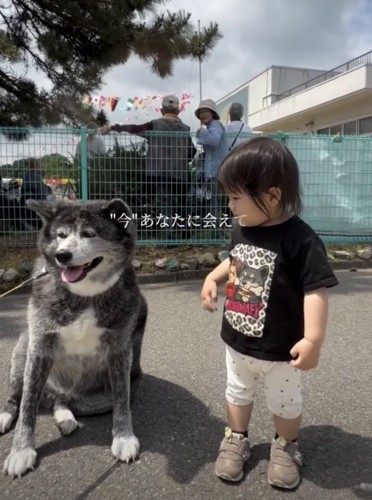 あもちゃんプリントのTシャツがお気に入り