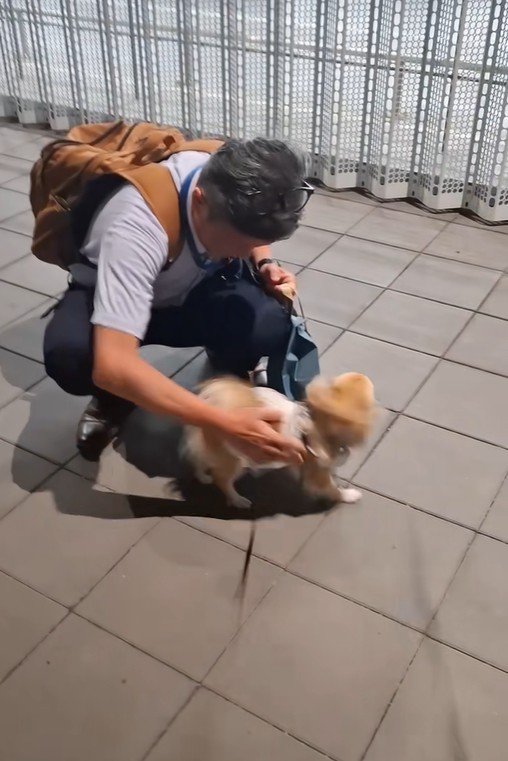 CoCoちゃんとパパさんの再会7