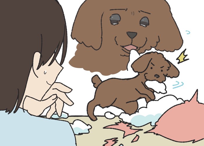 人間の言葉を理解している犬