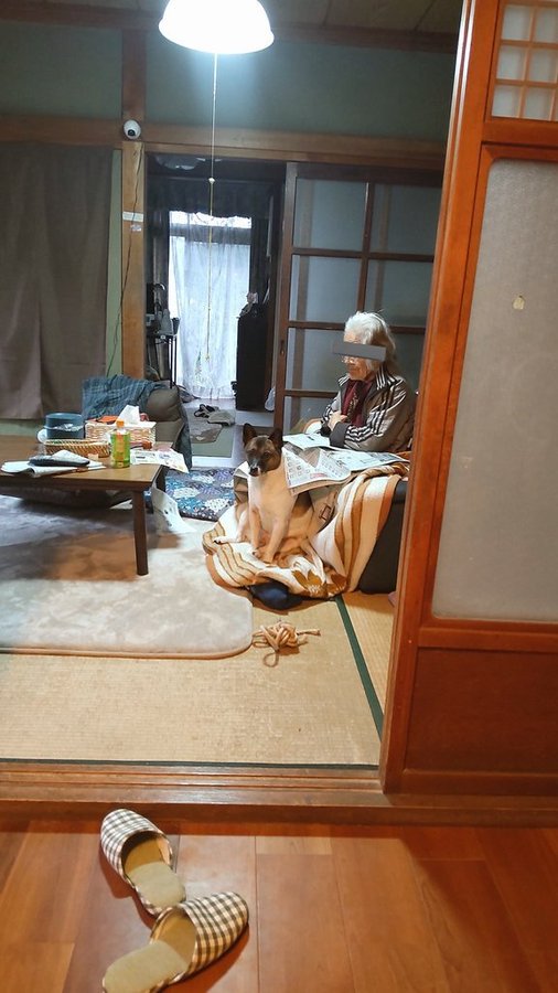 視界の隅