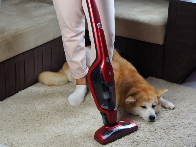カーペットに掃除機をかけている人の足元で伏せる犬
