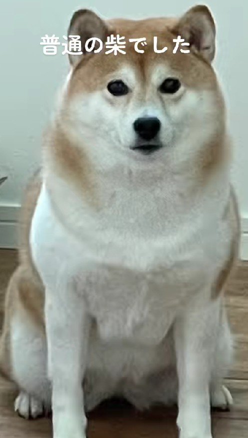 「豆」じゃない！！