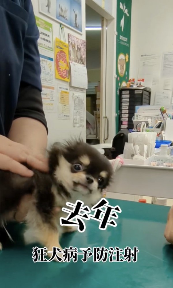 注射怖い