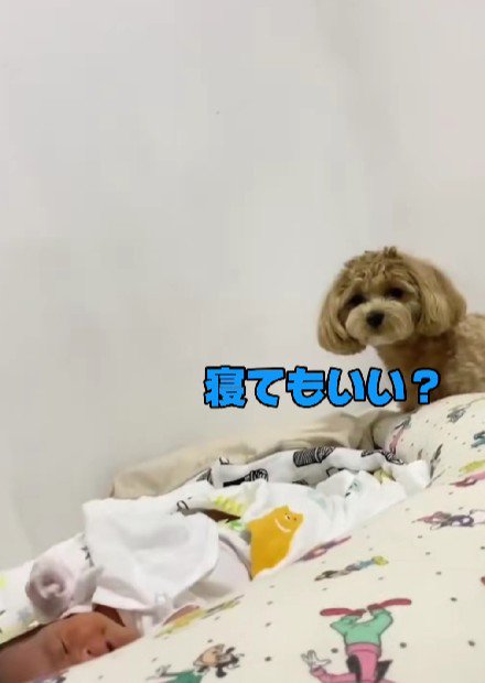 「隣で寝てもいい?」
