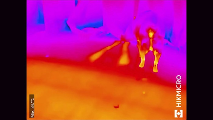 みるみるピンク色に…