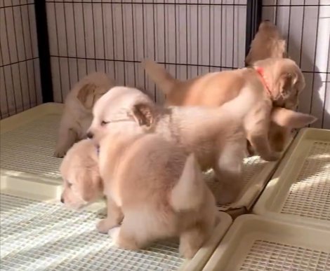 素敵な日常