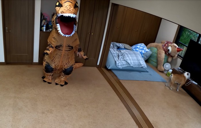 テレビを見つめる