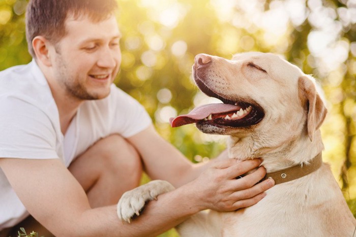 犬と見つめ合う男性