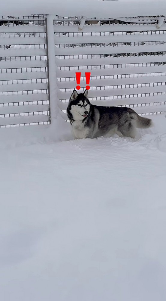 おこめくんが気付いて…