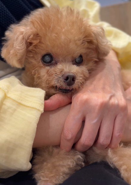 頑張り屋さんなふわちゃんでした