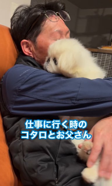 ソファで座る男性に抱っこされるペキニーズ