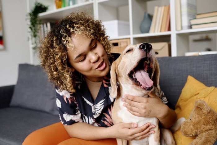 触れる女性とあくびする犬