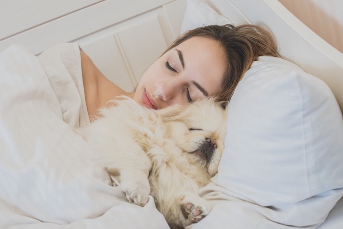 一緒に寝ている女性と犬