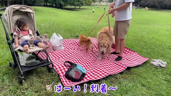 早速レジャーシートの上へ