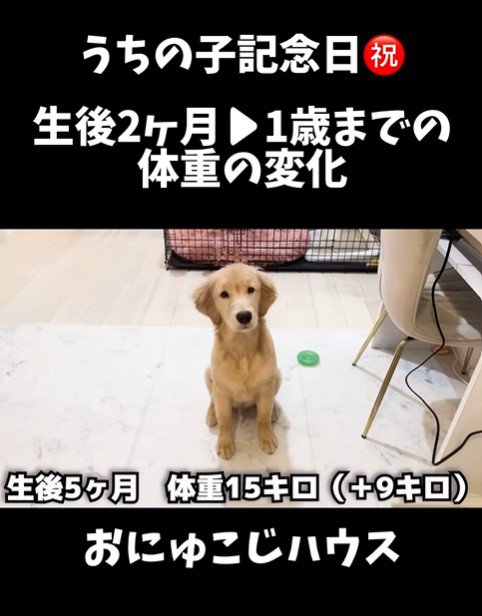 麹くんの成長4