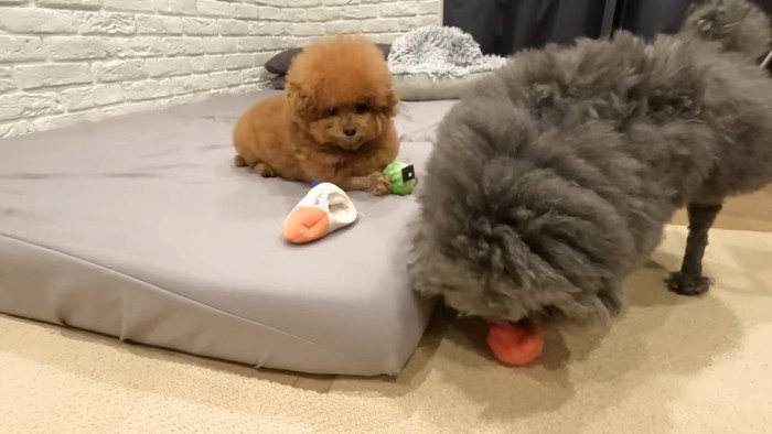 譲ってくれました!