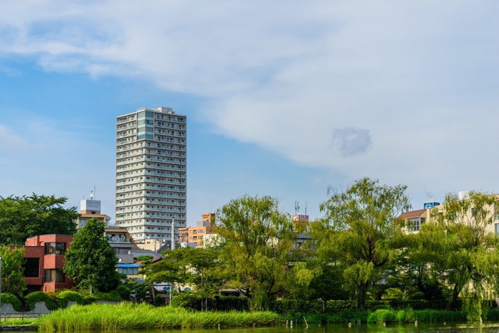 夏の石神井公園