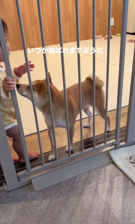 「本当に大好きなんだよ」