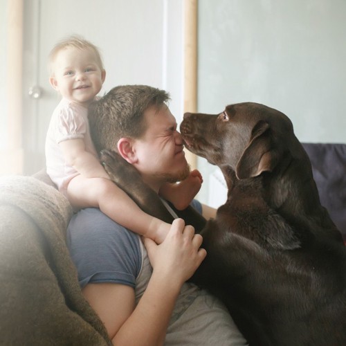 赤ちゃんとお父さんと大型犬