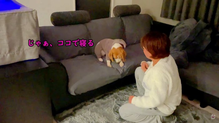 寝たくないメイちゃんVS飼い主さん8