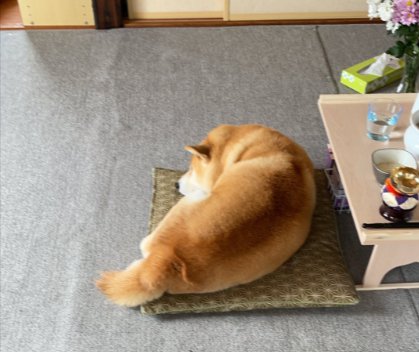 変わらない