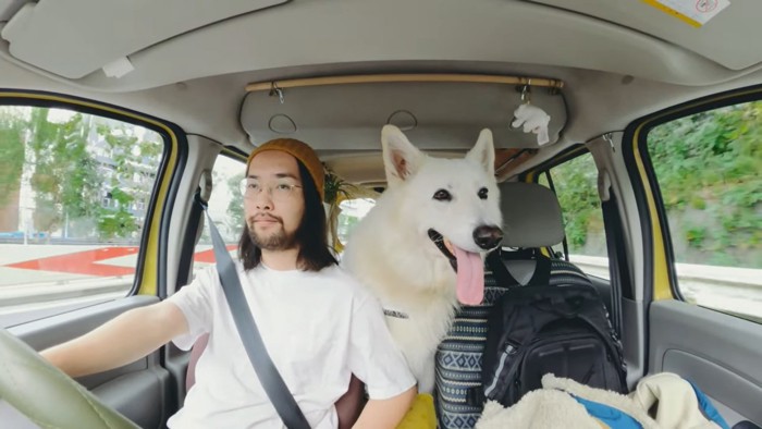 犬と運転する男性