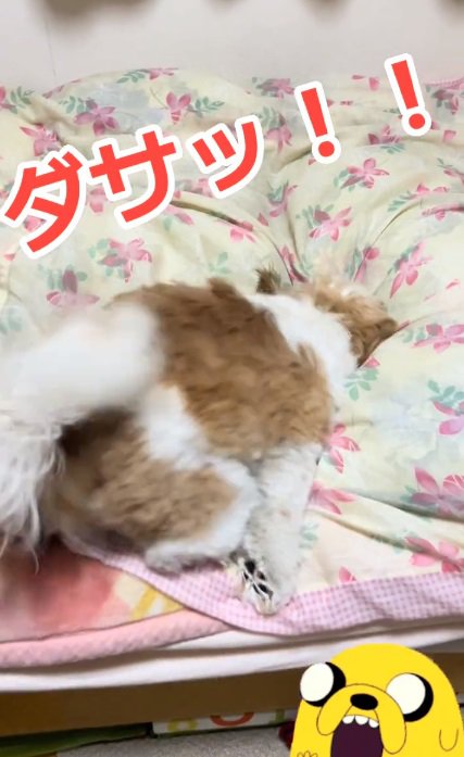 布団でモゾモゾする太郎くん