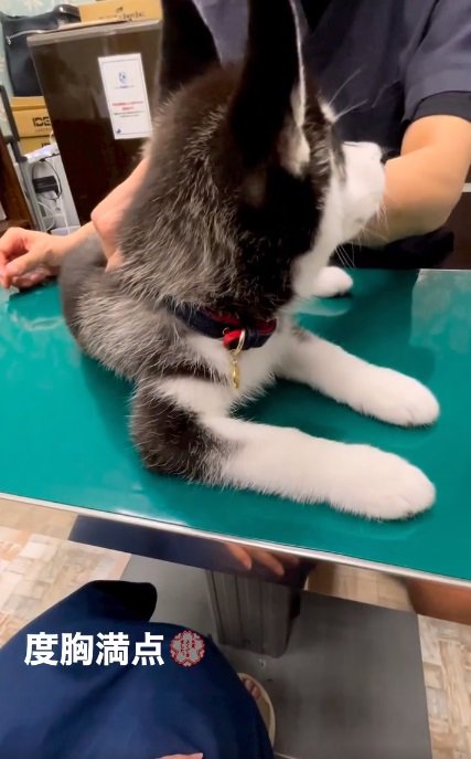 先生を見るレイルちゃん