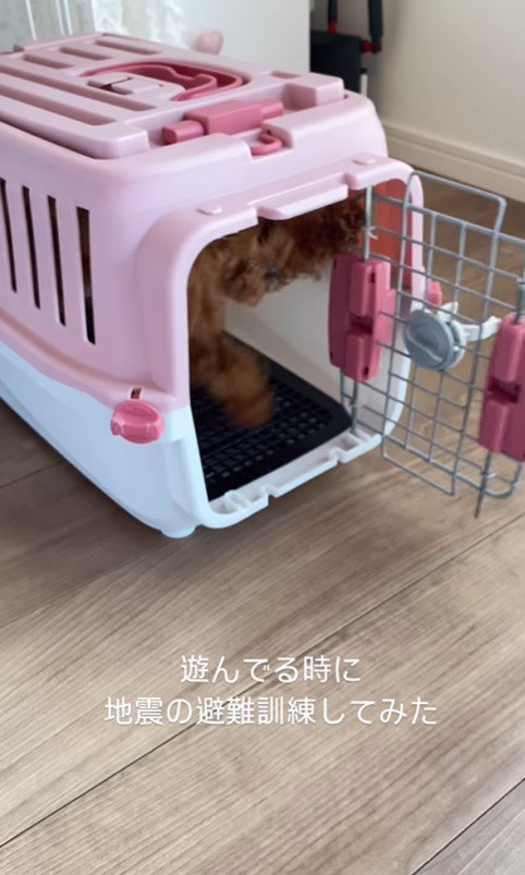 なこちゃんの避難訓練5